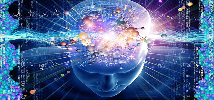 Чувства, ум, разум или сознание — кто из «царей» в твоей голове?